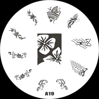 A19